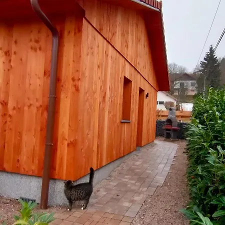 Pour Amoureux A Gerardmer *